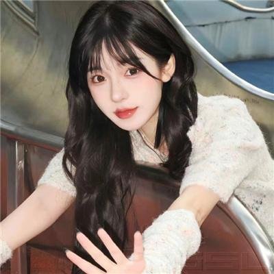 家鸭与野鸭的投币式置物柜